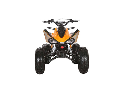 Coolster ATV-3250S full size sport ATV, rear view